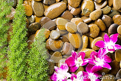Gravel Stone Rock Spa Massage Stock Photo