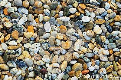 Gravel texture. Small stones, little rocks, pebbles in many shades of grey, white, brown, blue, yellow colour. Background of small Stock Photo