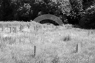 Graves At The Jewish Cemetery Zeeburg At Amsterdam The Netherlands 22-6-2020 Editorial Stock Photo