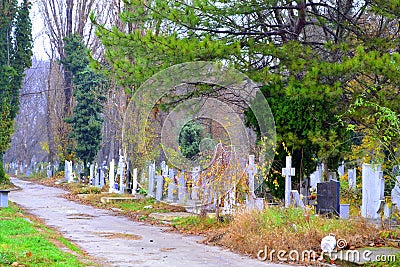 Graveyard alley Editorial Stock Photo