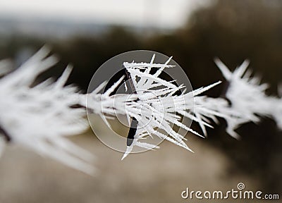 Gravity defying icicles on barbed wire from freezing fog Stock Photo