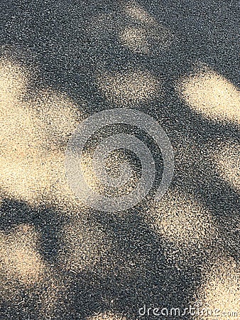 Gray asphalt texture with sunspots Stock Photo
