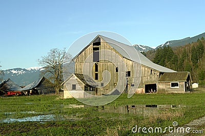 Gray Barn Stock Photo