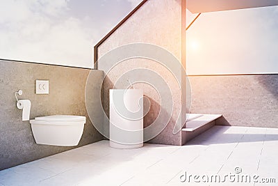 Gray bathroom with toilet, side, toned Stock Photo