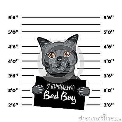 Gray cat bad boy. Cat criminal. Arrest photo. Police records. Cat prison. Police mugshot background. Vector. Vector Illustration