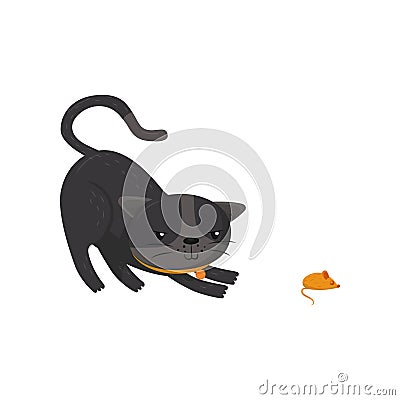 Gray cat hunting on mouse. Pet with shiny eyes and orange collar. Cartoon character of domestic animal. Flat vector for Vector Illustration