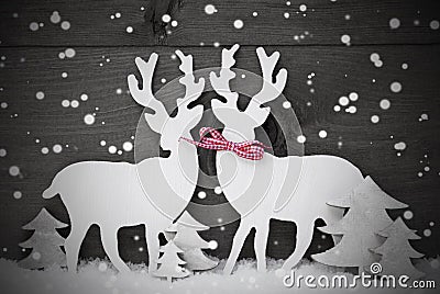 Gray, Christmas Decoration, Reindeer Couple In Love, Snowflakes Stock Photo