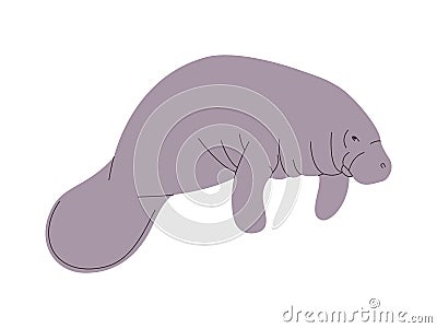 gray color manatee or dugong wild nature sea animal herbivorous mammal ocean creature Vector Illustration