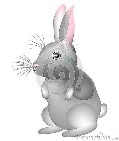 Gray cute rabbit. The symbol of Easter in the culture of many countries. Vector illustration Cartoon Illustration