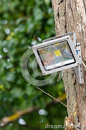 Gray diod spotlight on tree. Lighting equipment Stock Photo