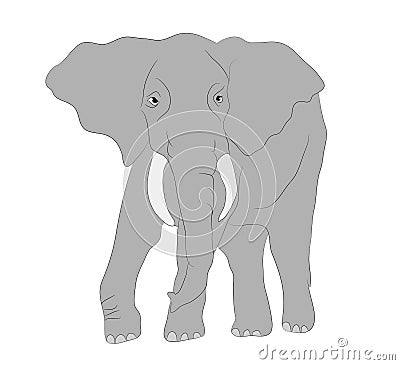 Gray elephant walks vector, white background Vector Illustration