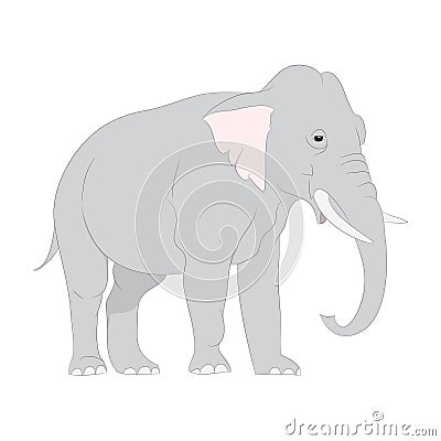 Gray elephant walks vector, white background Vector Illustration