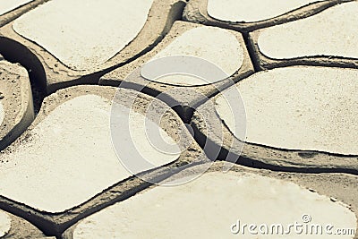 Gray Figured Pavement bricks Stock Photo