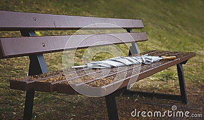 Gray forgotten umbrella walking stick rain on a bench in autumn Park, close up Stock Photo