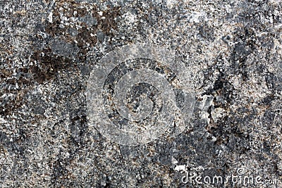 Gray granite natural pattern for background. Stock Photo