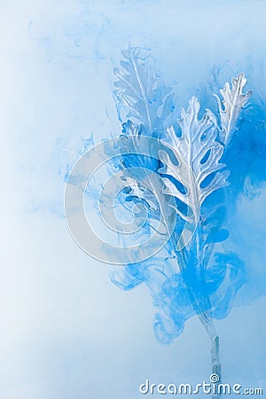 Flower water blue background white inside under paints acrylic smoke streaks grass sea haze blur underwater world planet Stock Photo