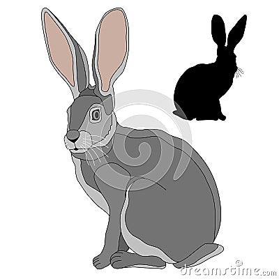 Gray hare realistic set of black silhouette Vector Illustration