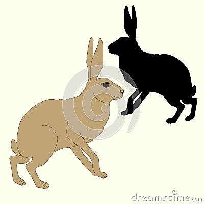 Gray hare sits a black silhouette Vector Illustration