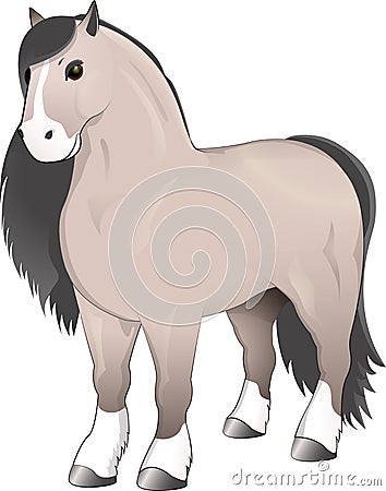 Gray horse standing Vector Illustration