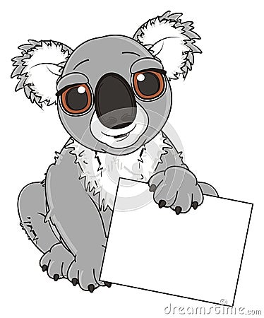 Gray koala with little clean plate Stock Photo