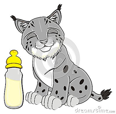 Gray lynx with drink Stock Photo