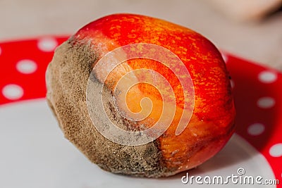 Gray mold on fresh peach Stock Photo