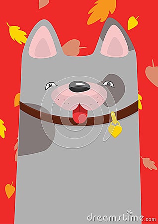 gray mongrel in the collar under the autumn leaf fall Vector Illustration