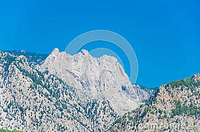 Gray mountains dotted with trees over a blue sky Stock Photo