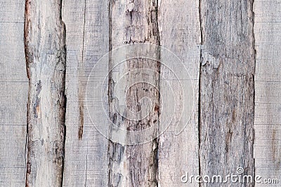 Gray old wood fence boards. Seamless texture for 3d modeling Stock Photo