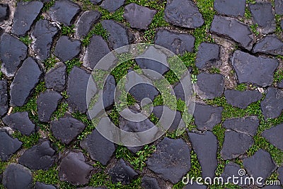 Gray paving stones. Seams are overgrown with green moss Stock Photo