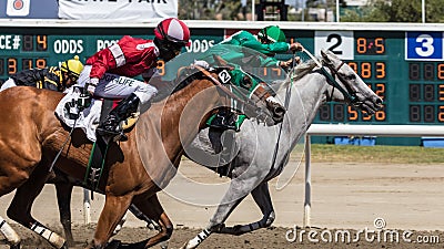 The Gray Pulls Ahead Editorial Stock Photo