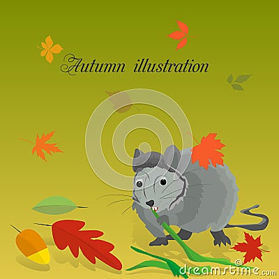 Gray rat nibbles on bamboo in autumn, fall leaves, Stock Photo