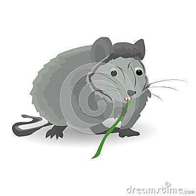 Gray rat sits and nibbles on a bamboo, on a white background Vector Illustration