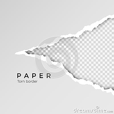 Gray ripped open paper with transparent background. Torn paper sheet. Paper texture. Vector illustration Vector Illustration