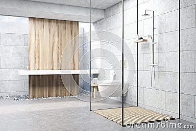 Gray shower interior Stock Photo