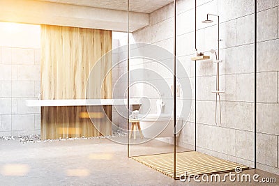 Gray shower interior, toned Stock Photo