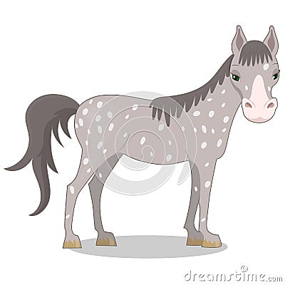 Gray spotted horse. Cartoon style. Vector illustration isolated on white background Cartoon Illustration