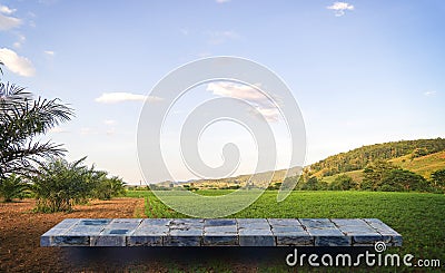 Stone rock shelf on paddy field Stock Photo