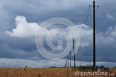 Gray storm clouds over the wheat field with right poles with power lines Stock Photo
