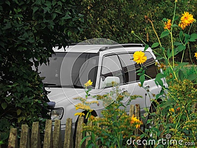 Gray Subaru Forester in green grass and bushes Stock Photo