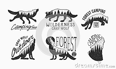 Gray wolf logo and badge. Forest and mountain and hill. Double exposure Concept. A predatory beast. Wild forest animal Vector Illustration