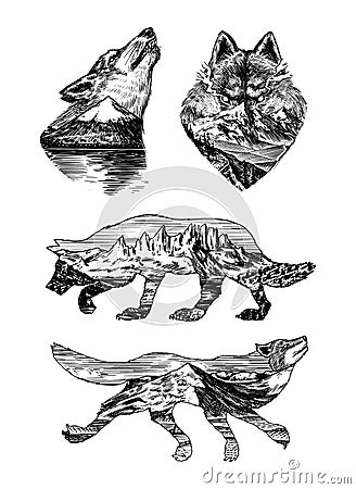 Gray wolf logo and badge. Forest and mountain and hill. Double exposure Concept. A predatory beast. Wild forest animal Vector Illustration