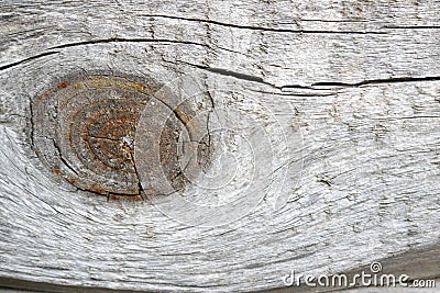 Gray wood texture with large bough and beautiful pattern of wood fibers Stock Photo