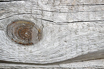 Gray wood texture with a large bough and pattern of wood fibers Stock Photo