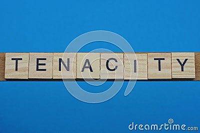 Gray word tenacity in small square wooden letters Stock Photo