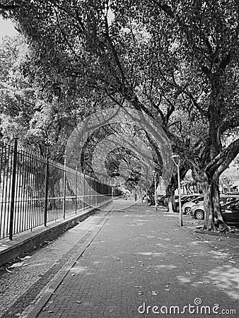 Grayscale shot of an alley with vehicles parking on the side Editorial Stock Photo