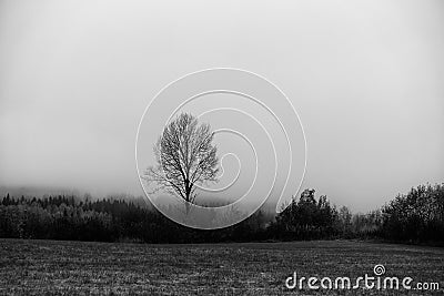 Grayscale shot of foggy morning of rural Toten, Norway. Stock Photo