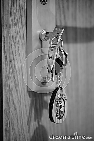 Grayscale vertical shot of a bunch of home keys in a door locker with a Slovenia key holder Editorial Stock Photo