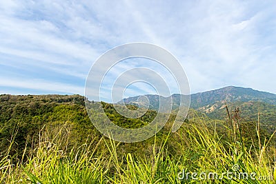 Grean meadow in the mountains Stock Photo