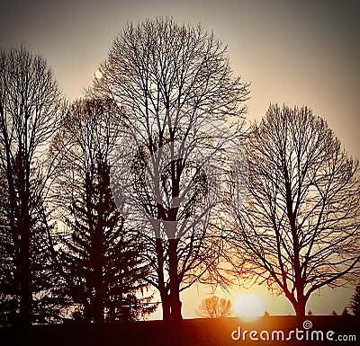 Amazing beautiful landscape natural view with leafless trees silhouette on cozy inviting hill at sun set autumn November time Stock Photo